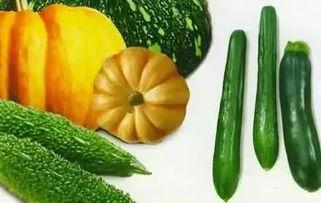 南非瓜怎么吃,南非瓜的多样食用方法探索