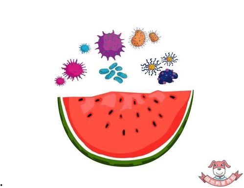 怎么吃瓜才安全,安全享受清凉解暑美食