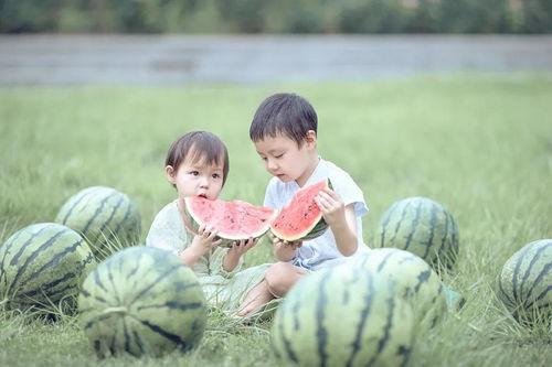 吃瓜宝宝2,揭秘娱乐圈背后的秘密与真相
