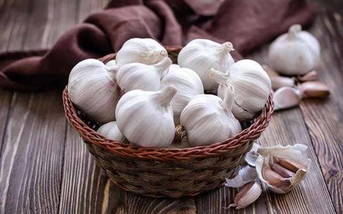 吸血瓜吃大蒜,一场奇妙的植物与食材对决