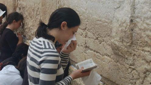 娱乐圈吃瓜小羊