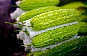 孕妇可以吃长瓜,长瓜助力母婴健康