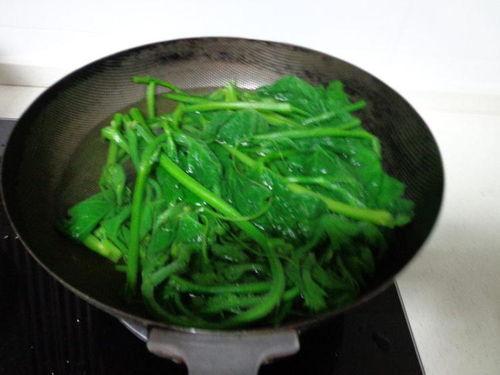 素瓜尖怎么吃,探索健康美味的烹饪新境界