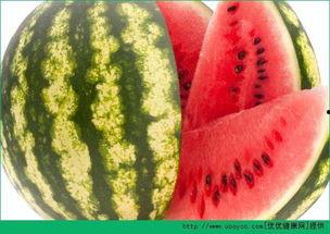 每天吃瓜吃多少