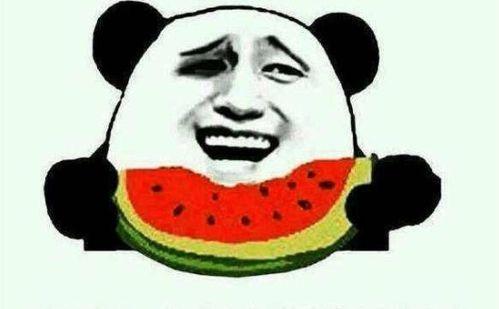 考研凯哥吃瓜,揭秘考研界那些鲜为人知的趣闻轶事