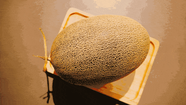 暖阳吃哈密瓜,一场味蕾与阳光的邂逅