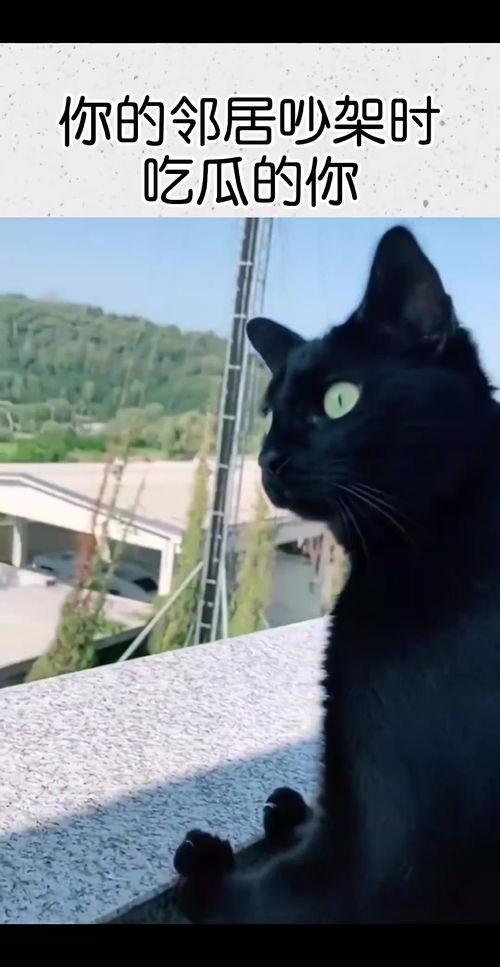 吵架了吃瓜,揭秘网络口水战的背后真相