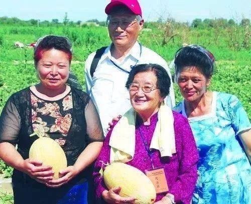 生物教授吃瓜,探索植物世界的奥秘