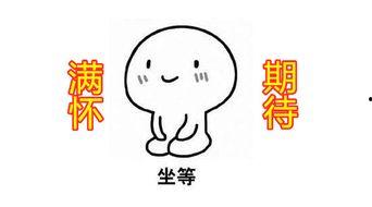 kiko 吃瓜,揭秘娱乐圈幕后故事